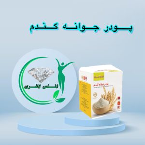 پودر جوانه گندم بین استار 25 ساشه
